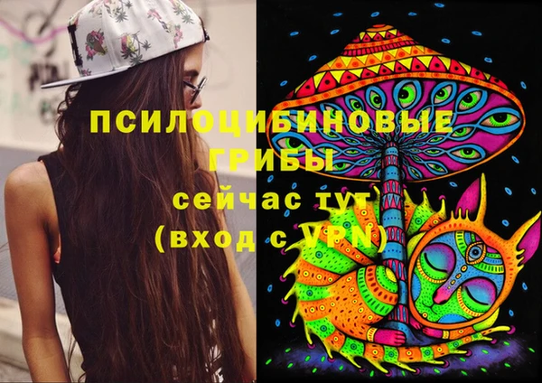 круглые Абаза