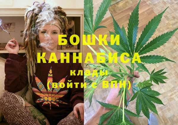 крисы Абдулино