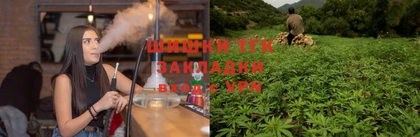 крисы Абдулино