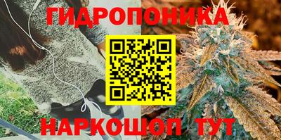 ешки Шебекино