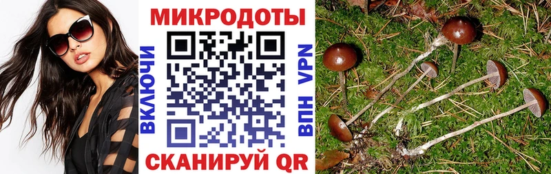 что такое   Тында  гидра   Псилоцибиновые грибы мухоморы 