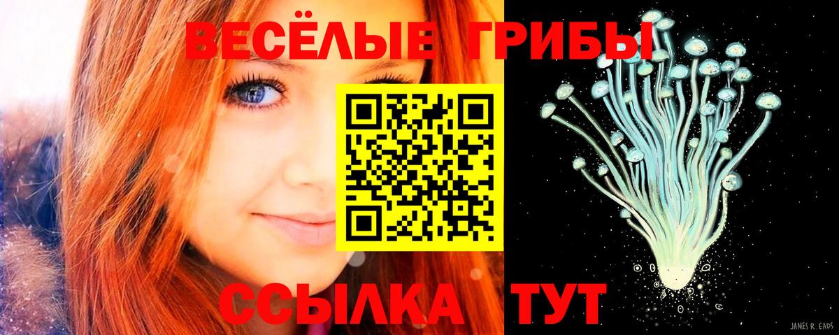 Псилоцибиновые грибы ЛСД  Вход с VPN  Тында 